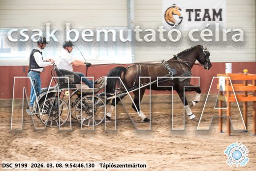 Mintakép 20260308-44