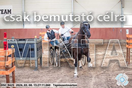 Mintakép 20260308-47