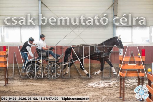 Mintakép 20260308-50