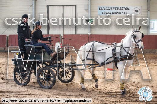 Mintakép 20260307-400