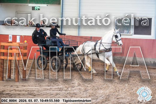 Mintakép 20260307-405