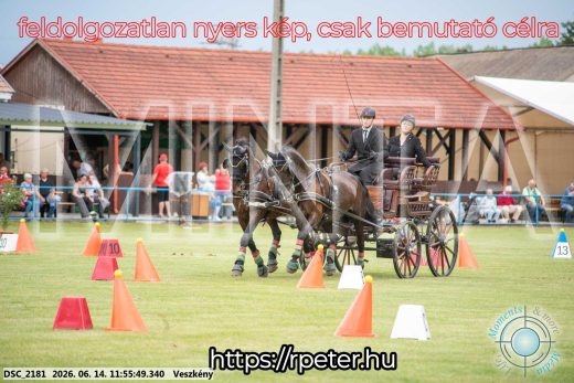 Mintakép 20260614-215