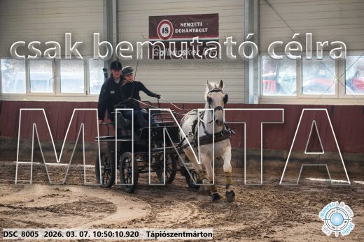 Mintakép 20260307-406