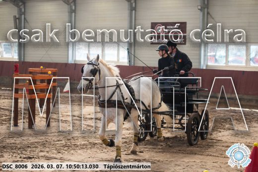 Mintakép 20260307-407
