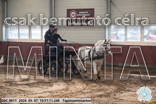 Mintakép 20260307-410