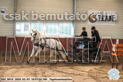Mintakép 20260307-413