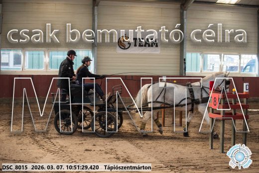 Mintakép 20260307-414