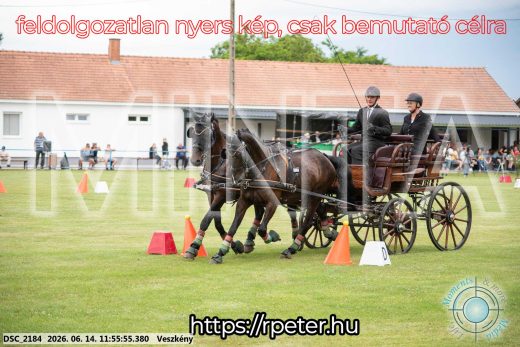 Mintakép 20260614-216