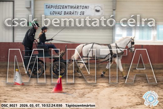 Mintakép 20260307-419