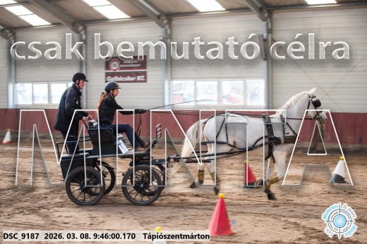 Mintakép 20260308-53
