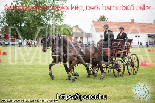 Mintakép 20260614-217