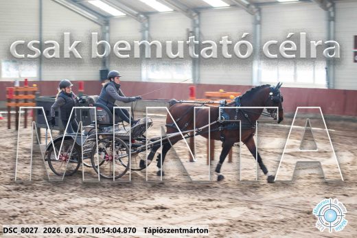 Mintakép 20260307-425