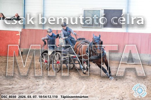 Mintakép 20260307-428