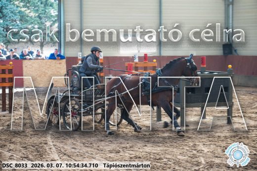 Mintakép 20260307-430