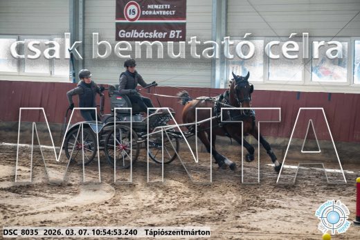 Mintakép 20260307-432