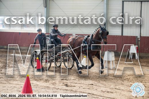 Mintakép 20260307-433