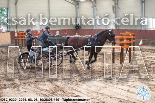 Mintakép 20260308-56