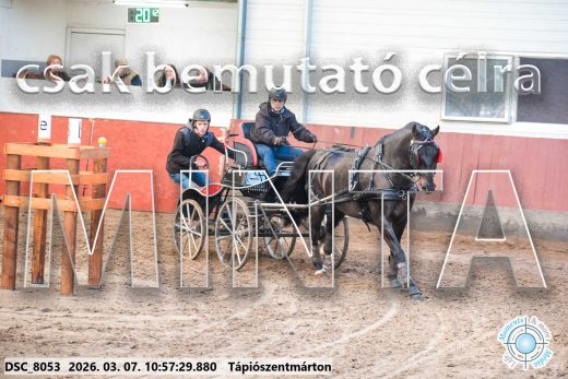 Mintakép 20260307-448