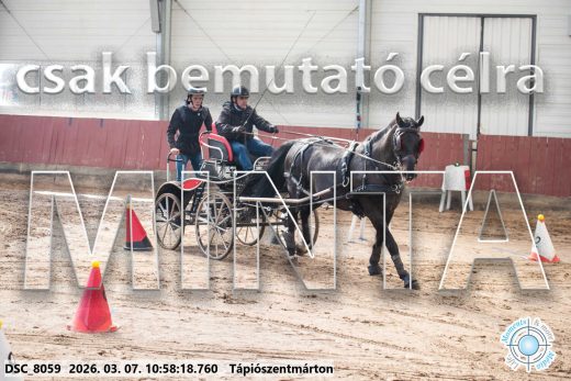 Mintakép 20260307-453