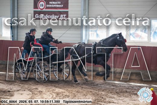 Mintakép 20260307-456