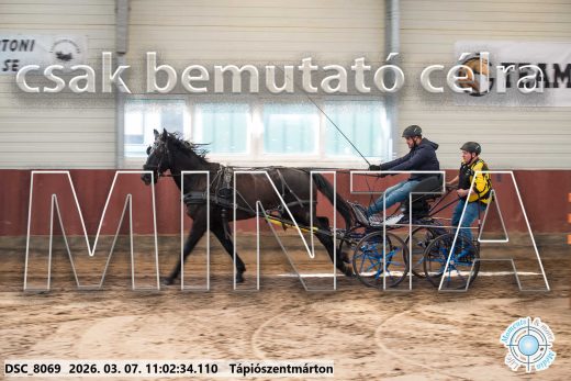 Mintakép 20260307-460
