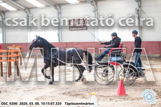 Mintakép 20260308-57