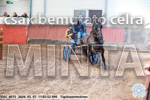 Mintakép 20260307-465