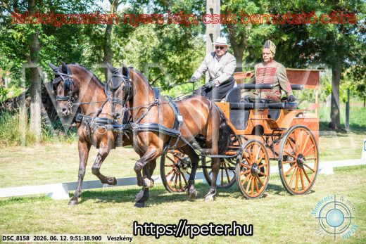 Mintakép 20260612-342