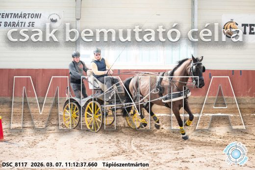 Mintakép 20260307-497