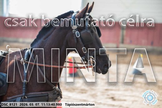 Mintakép 20260307-501
