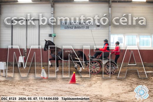 Mintakép 20260307-503