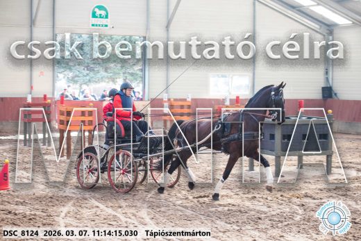 Mintakép 20260307-504