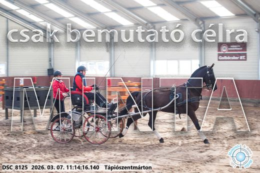 Mintakép 20260307-505