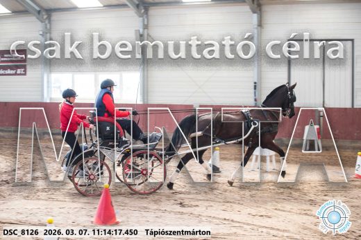 Mintakép 20260307-506