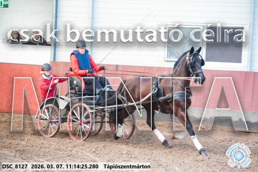 Mintakép 20260307-507