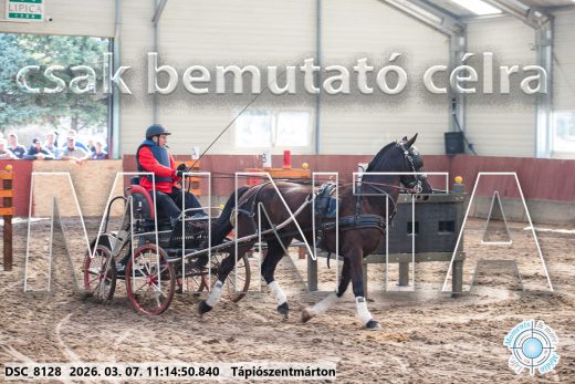 Mintakép 20260307-508