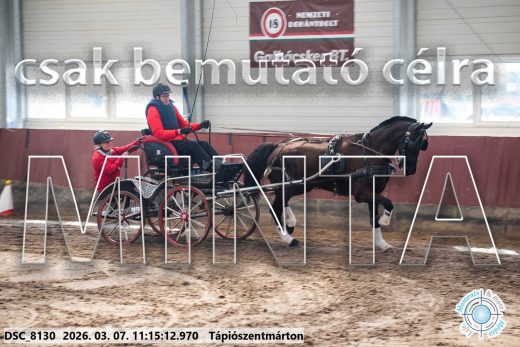 Mintakép 20260307-509