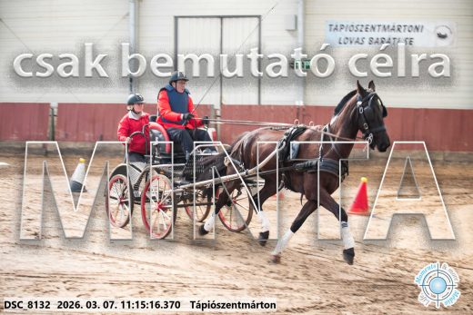 Mintakép 20260307-510