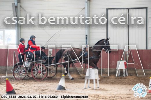 Mintakép 20260307-515
