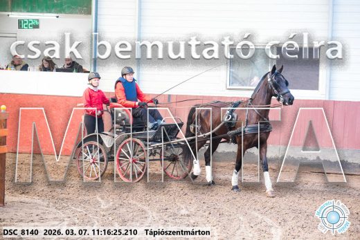 Mintakép 20260307-517