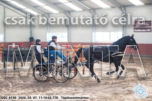Mintakép 20260307-523