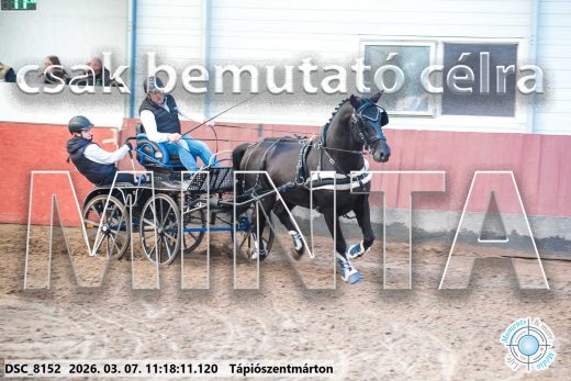 Mintakép 20260307-524