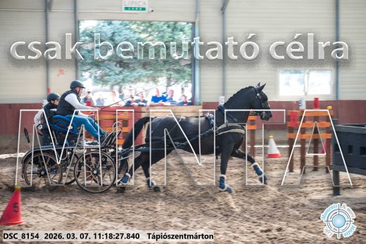 Mintakép 20260307-525