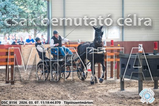 Mintakép 20260307-527