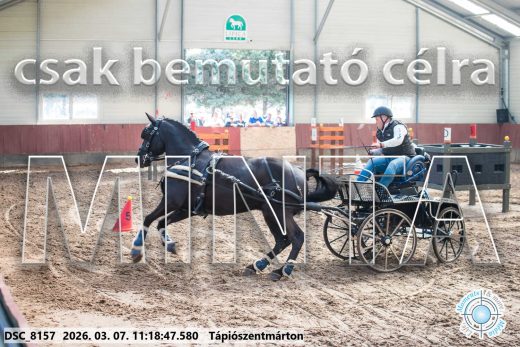 Mintakép 20260307-528
