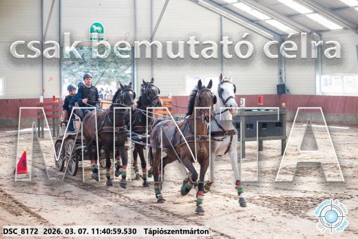 20260307-114059-DSC_8172.jpg