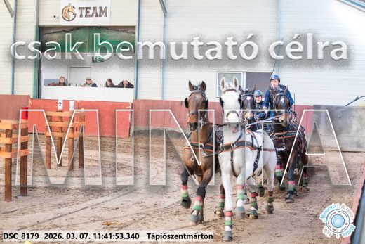 Mintakép 20260307-544