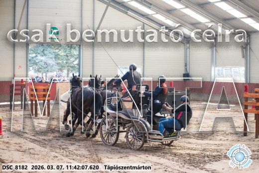 Mintakép 20260307-546