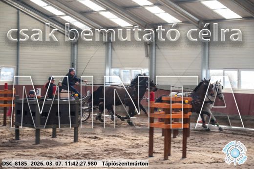 Mintakép 20260307-549