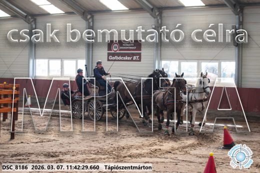 Mintakép 20260307-550